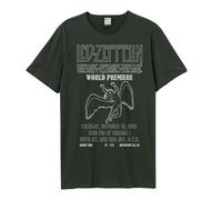 Amplified Unisex Adult The Song Remains The Same Led Zeppelin T-Shirt GD175