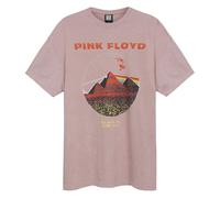 Amplified Unisex Adult Vintage Pyramids Pink Floyd T-Shirt GD1072
