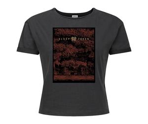 Amplified Womens/Ladies Flamingo Sleep Token Crop Top GD4305