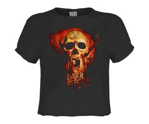 Amplified Womens/Ladies Legacy Skull Slayer Crop T-Shirt GD2192