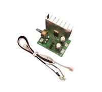 Amplifier Board Mono Channel 30W Sturdy Tone Boards Digital Electronic Electronically Module Music Speaker Adapter Adapters