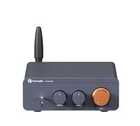 Amplifier BT20A Pro Max Power 600W TPA3255 Mini HiFi Bluetooth Sound Home Stereo 2.0Channels(Blue add 32V power)