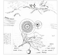 Amps for Christ - Woods / Amps for Christ [VINYL]