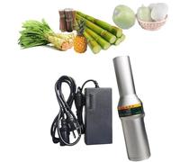 AMQYDT Automatic Sugarcane Scraping Machine, Mini Electric Sugar Cane Peeler Peeling Machine, Stainless Steel Material, Faster Peeling Spee, for Coconut, Pumpkin, Winter Claw, Taro, Pineapple