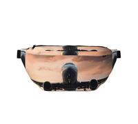 AMREWQYL Airplane Art printed Crossbody Waist Pack Casual Chest Bag, Black, One Size