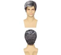 AMRISBTYS Mens Short Brown Wig Synthetic Replacement Costume Halloween Natural Hair Wigs(2/1001A #,Buckle net)