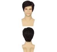 AMRISBTYS Mens Short Brown Wig Synthetic Replacement Costume Halloween Natural Hair Wigs(brown,Buckle net)