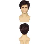 AMRISBTYS Mens Short Brown Wig Synthetic Replacement Costume Halloween Natural Hair Wigs(dark brown,Buckle net)