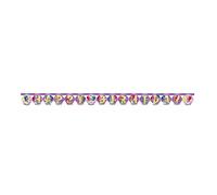 amscan 11012069 Colorful Birthday Letter Banner with Shimmer and Shine Theme-1 Pc