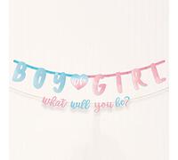 Amscan 120638-55 - The Big Gender Reveal Party Paper Letter Banner Decoration Kit - 2 Pack