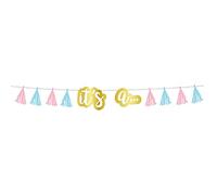 Amscan 220417-55 - The Big Gender Reveal Party Tassel Garland Decoration - 2.4m
