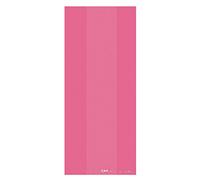 amscan 379510-103 PARTY BAG lrg:bright pink