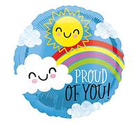 Amscan 4115701 Sd-C: Proud Of You Sun & Cloud