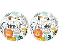 Amscan 4287701 Sd-C: Get Wild Birthday (Pack of 2)