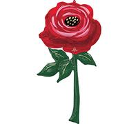 Amscan 4370401 Multib: Painted Rose