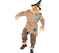 amscan 840288-55 - Adults Mr. Scarecrow with Pointed Hat World Book Day Fancy Dress Costume Size: Standard