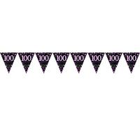 amscan 9901764 100th Birthday Glittery Pink Plastic Pennant Bunting-4m x 20cm-1 Pc