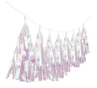 Amscan 9911627 Tassel Garland Iridescent