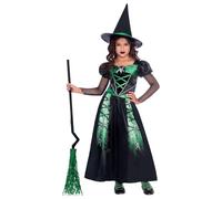 amscan (PKT) (9911971) Child Girls Spider Witch Costume (8-10yr)