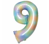 Amscan 9913142 Large Number Pastel Rainbow 9