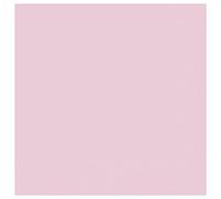 Amscan 9915402-201 - Light Pink Eco-Friendly Compostable Luncheon Napkins - 20 Pack