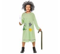 amscan 9916227 - Kids Official Roald Dahl Mrs Twit Girls World Book Day Costume Age: 4-6 Yrs