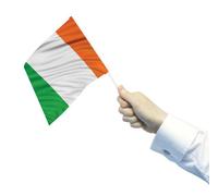 amscan Ireland Handheld Waving Flags 30cm x 45cm-4 Pcs