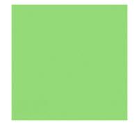 Amscan Rectangular Plastic Tablecovers (Pack Of 12) Green (One Size)