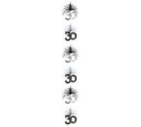 Amscan Time To Party Cascade 30Th Hanging Decoration Silver (One Size)