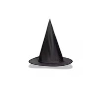 Amscan Women's Adult Halloween Classic Witch Pointed Black Hat Amscan Black One Size