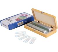 AmScope PS50 Prepared Microscope Slide Set for Basic Biological Science Education, 50 Slides, Includes Fitted Wooden Case