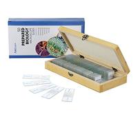 AmScope PS50A Prepared Microscope Slide Set for Basic Biological Science Education, 50 Biology and Pathology Slides, Includes Fitted Wooden Case