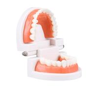 AMSLSIU Children Educational Toys Simulation Brushing Tooth Parent-child Teacher Teaching Aids Health Care Kindergarten School