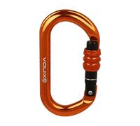 AMSLSIU Climbing Carabiner D Shape Keychain Clip for Buckle Lightweight Innovative Premium Heavy Duty For Camping Key Chain Karabiner Clasp Climbing Gear