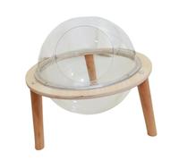 AMSLSIU Cozy Space Cat Bed Hammock Allows Kittens And Small Pets To Enjoy Sleeping Resting And Playing Time Together All Seasons Kittens Hammock Cat Nest Wooden Stand