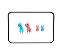 AMSLSIU Educational Learning Tools For School Student Compact Size Meiosis Demonstrator Kit For Easy Classroom Children Scientific Experiment Biology Teaching