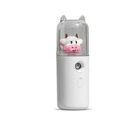 AMSLSIU Facial Sprayer Moisturizing 30ml Mini Humidifier Fogger Face Steamer Atomizer Indoor Outdoor Skin Care Tool, Type 1 White