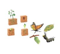 AMSLSIU Farm Plant Butterfly Life Cycle Figure Set Providing Insight Into Growth Processes For Kids Includes 2 Set Life Cycle Stages Model Representing Entire Educational Toy