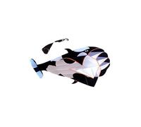 AMSLSIU Giant Beach Kites Outdoor Game Activity Cartoon 3D Dolphin Kite Flying At Parks And Beach Adventures Very Attractive 3D Kite Large Dolphin Flying Kites Soft