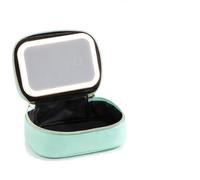 AMSLSIU Mini Work Bag Essentials with Led Makeup Bag Featuring LED Light and Removable Mirror Young Women Up with Mirror, Green