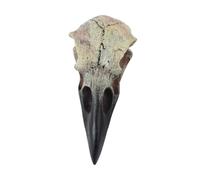 AMSLSIU Resin Bird Skull Pendant Enhances Outfits With Striking Decorative Features Halloween Events And Costumes Bird Bone Jewelry Necklace Decor Halloween Decor, Gray, 60x28x22.5mm