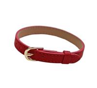 AMSLSIU Simulation Doll Belt Life Scene Supply Accs Creativity In Dollhouse Settings And Storytelling Landscape Doll Clothes With Belt Buckle Kids Pretend Toys, Red, 22x1.2x0.8cm