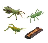 AMSLSIU Simulation Insect Animal Natural Education Toy Hands On Learning Experience For Preschool Cognitive Growth Nature Insects Life Cycles Growth Model Game Prop
