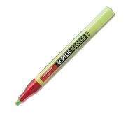 Amsterdam Acrylic Marker - Yellowish Green 617-2 mm Round Nib - High Quality Lightfast Pigments - Waterproof & Permanent - Odorless Water-Based Ink - Versatile for Various Surfaces