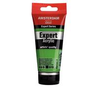 Amsterdam Expert Series Acrylic Paint - Permanent Green Light 618-75 ml Tube - Opaque Heavy Body Artist Quality with Excellent Lightfastness