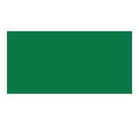 Amsterdam Acrylic Paint Standard Series - Paolo Veronés Green 615 - Tube 20 ml - Light Resistant, Opaque, Waterproof, Satin Finish