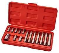 Amtech 15pc Hex Bit & Socket Set, Chrome Vanadium Steel with Long & Short Bits, 13 mm Drive Socket & Plastic Case for Automotive, Furniture & DIY Work