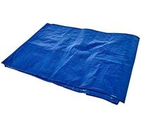 Amtech 2 X Tarpaulin - Blue, 6 x 9 ft