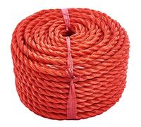 Amtech S3255 30m (100ft) x 8mm (0.3") Rope