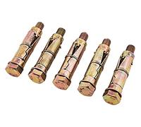 Amtech 5 Piece M10 X 70mm Expansion Bolts